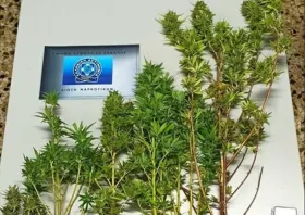 Στοχευμένες αστυνομικές επιχειρήσεις κατά των ναρκωτικών στην ΑΜΘ
