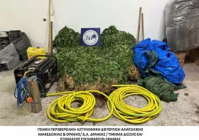 «Ξηλώθηκε» μεγάλη χασισοφυτεία από δυσπρόσιτη δασική περιοχή της Δράμας