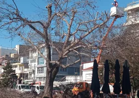 Εργασίες κοπής κλαδιών στην πλατεία Ειρήνης