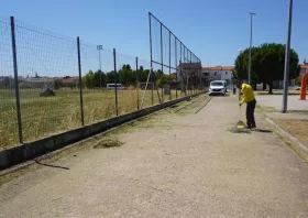 Εντατικές παρεμβάσεις στην Κομοτηνή και σε οικισμούς από το Τμήμα Πρασίνου