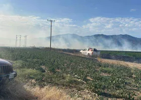 Μεσσούνη: Άμεση αντίδραση της Πυροσβεστικής Υπηρεσίας απέτρεψε τα χειρότερα