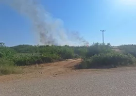 Ξυλαγανή: Υπό έλεγχο η φωτιά 