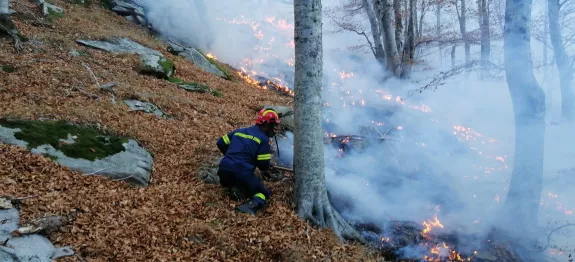 Παπίκιο: Εγκαύματα στα χέρια πυροσβέστη και πεσμένος κορμός σε αμάξι ΠΑΠΙΚΙΟ ΦΩΤΙΑ