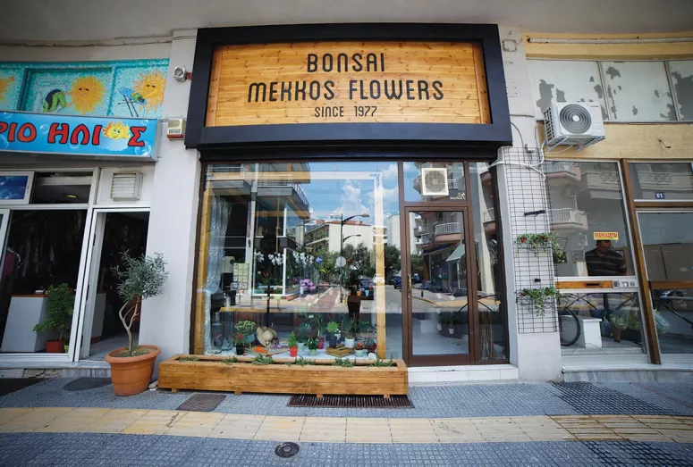 Bonsai Mekkos Flowers λουλούδια από τον τόπο σου xronos.gr