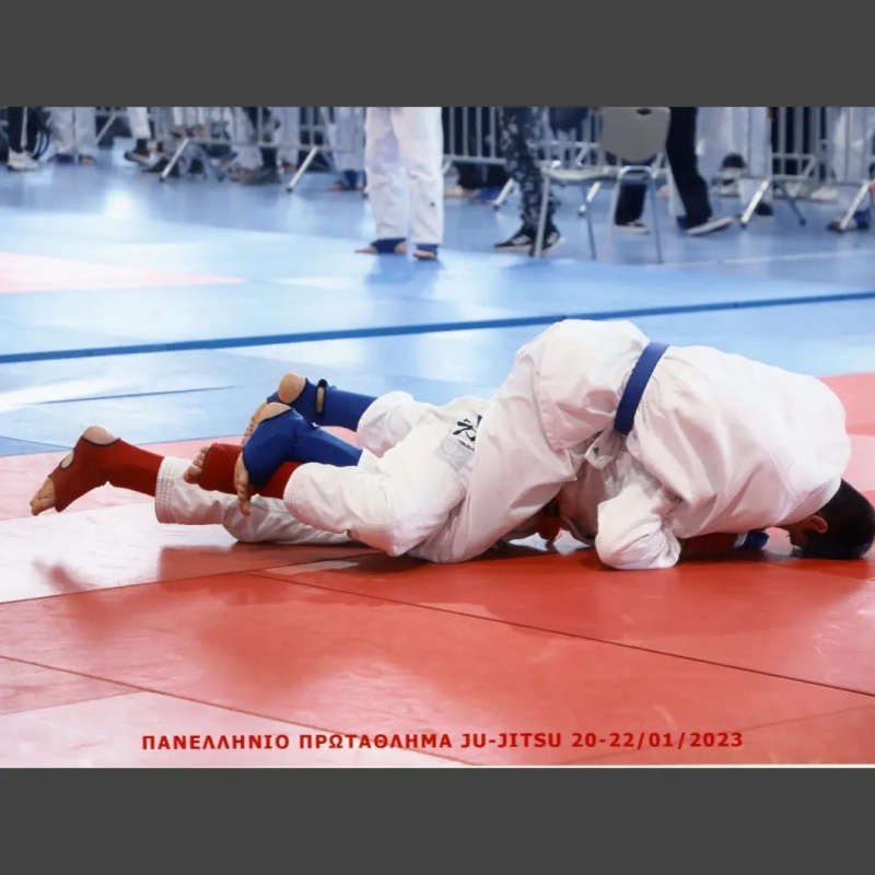 Διάκριση στο πανελλήνιο Ju-Jitsu για τους αθλητές του Συλλόγου Yin Yang Διάκριση στο πανελλήνιο Ju-Jitsu για τους αθλητές του Συλλόγου Yin Yang