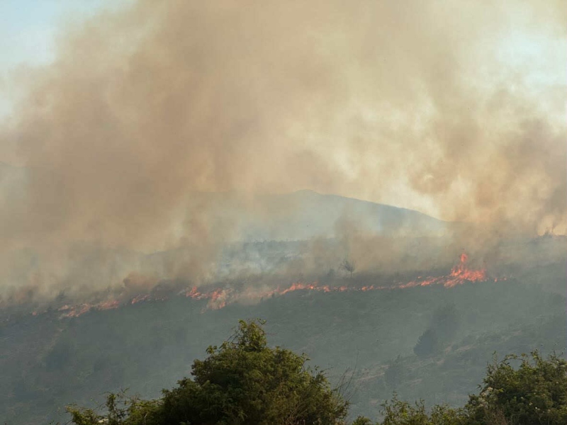 Πυρκαγιά Χλόη