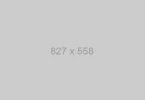 sample-thumbnail