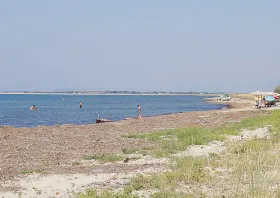 2342353-61_1_0.jpg