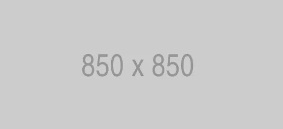 850_5.png